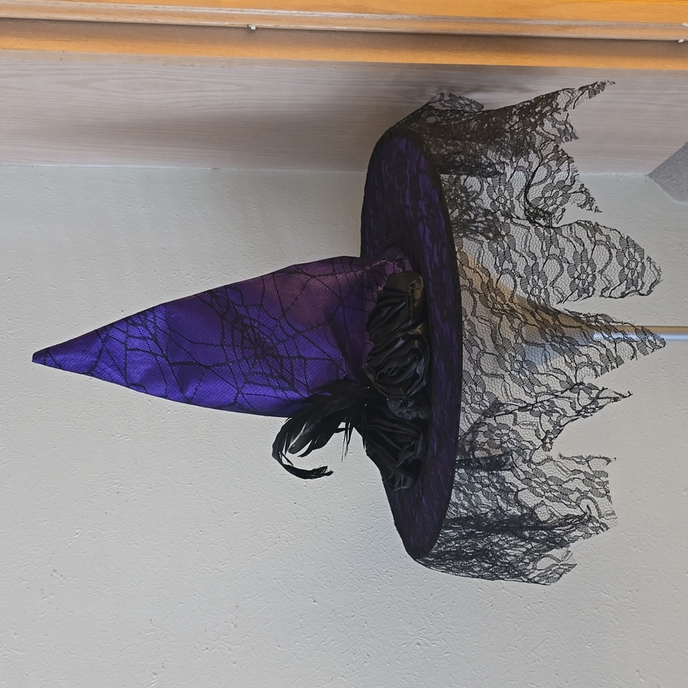 Halloween Witch Hat Purple Costume Skull Spider Web Lace